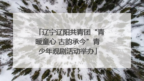 辽宁辽阳共青团“青暖童心 古韵承今”青少年观剧活动举办