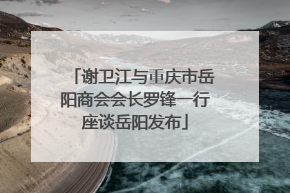 谢卫江与重庆市岳阳商会会长罗锋一行座谈岳阳发布