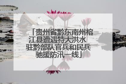 贵州省黔东南州榕江县遭遇特大洪水 驻黔部队官兵和民兵驰援防汛一线