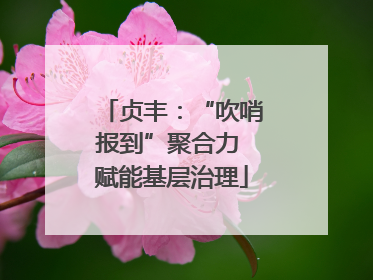 贞丰：“吹哨报到”聚合力 赋能基层治理