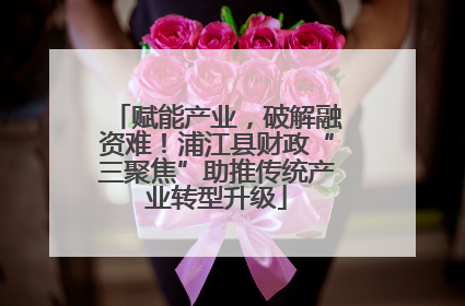 赋能产业，破解融资难！浦江县财政“三聚焦”助推传统产业转型升级
