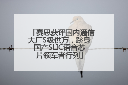 赛思获评国内通信大厂S级供方，跻身国产SLIC语音芯片领军者行列