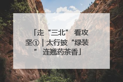 走“三北” 看攻坚①｜太行披“绿装” 连翘药茶香