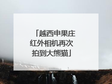 越西申果庄红外相机再次拍到大熊猫