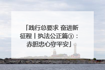 践行总要求 奋进新征程丨执法公正篇③：赤胆忠心守平安