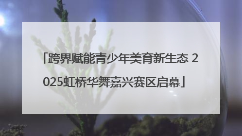 跨界赋能青少年美育新生态 2025虹桥华舞嘉兴赛区启幕