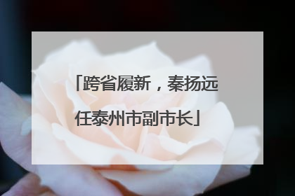 跨省履新，秦扬远任泰州市副市长