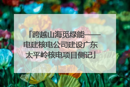 跨越山海觅绿能——电建核电公司建设广东太平岭核电项目侧记