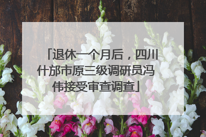 退休一个月后，四川什邡市原三级调研员冯伟接受审查调查