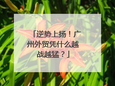 逆势上扬！广州外贸凭什么越战越猛？