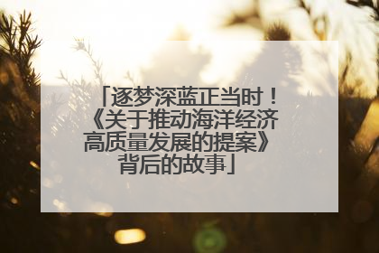 逐梦深蓝正当时！《关于推动海洋经济高质量发展的提案》背后的故事