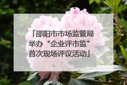 邵阳市市场监管局举办“企业评市监”首次现场评议活动