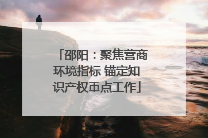 邵阳：聚焦营商环境指标 锚定知识产权重点工作