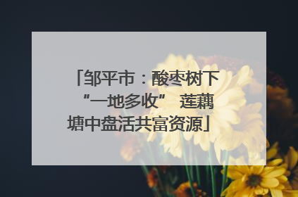 邹平市：酸枣树下“一地多收” 莲藕塘中盘活共富资源