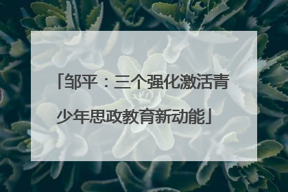 邹平：三个强化激活青少年思政教育新动能