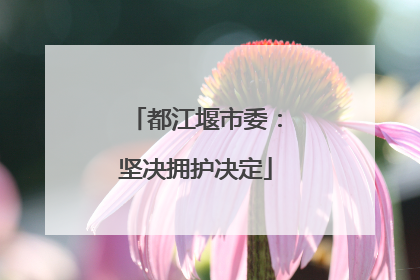 都江堰市委：坚决拥护决定