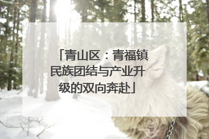 青山区：青福镇民族团结与产业升级的双向奔赴