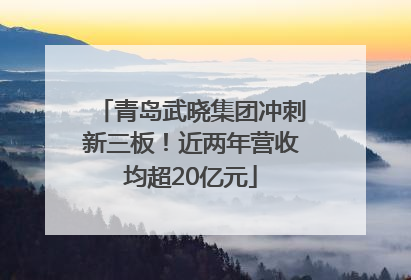青岛武晓集团冲刺新三板！近两年营收均超20亿元