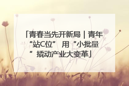 青春当先开新局｜青年“站C位” 用“小批量”撬动产业大变革