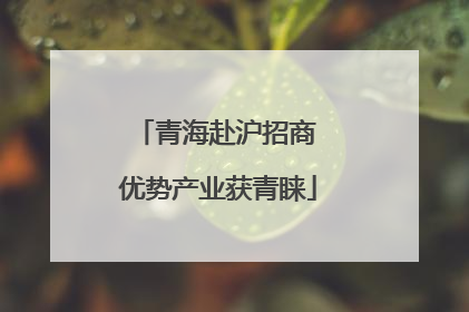 青海赴沪招商 优势产业获青睐