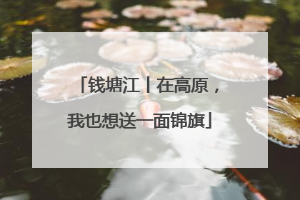 钱塘江丨在高原，我也想送一面锦旗
