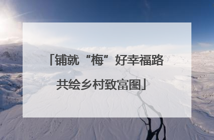 铺就“梅”好幸福路 共绘乡村致富图