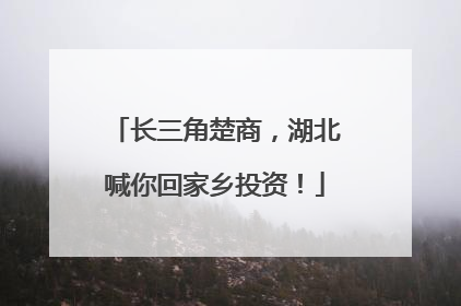 长三角楚商，湖北喊你回家乡投资！