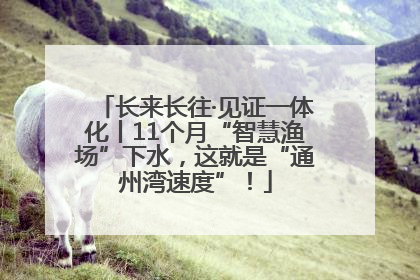 长来长往·见证一体化丨11个月“智慧渔场”下水，这就是“通州湾速度”！