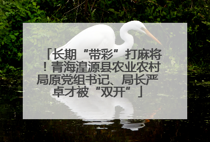 长期“带彩”打麻将！青海湟源县农业农村局原党组书记、局长严卓才被“双开”