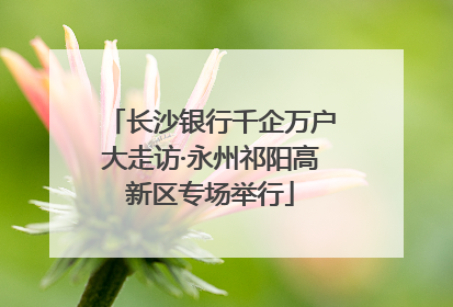 长沙银行千企万户大走访·永州祁阳高新区专场举行