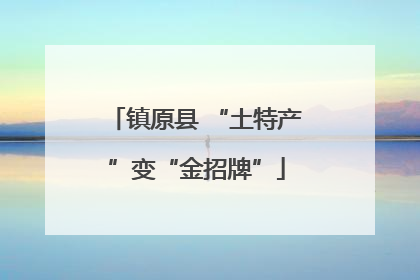 镇原县 “土特产”变“金招牌”
