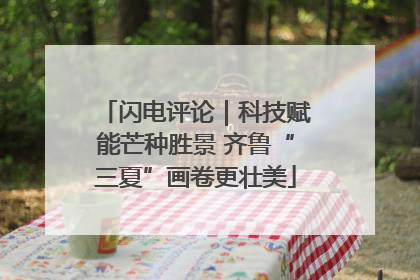 闪电评论｜科技赋能芒种胜景 齐鲁“三夏”画卷更壮美