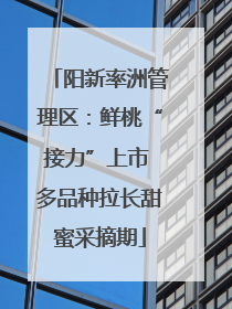 阳新率洲管理区：鲜桃“接力”上市 多品种拉长甜蜜采摘期