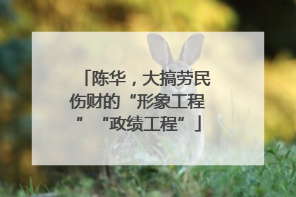 陈华，大搞劳民伤财的“形象工程”“政绩工程”