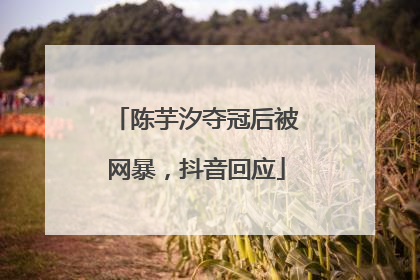 陈芋汐夺冠后被网暴，抖音回应