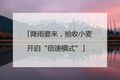降雨要来，抢收小麦开启“倍速模式”