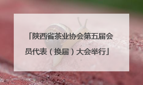 陕西省茶业协会第五届会员代表（换届）大会举行