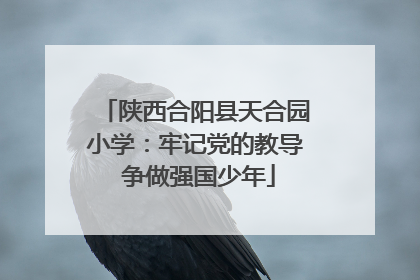 陕西合阳县天合园小学：牢记党的教导 争做强国少年