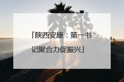 陕西安康：第一书记聚合力促振兴