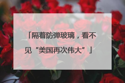 隔着防弹玻璃，看不见“美国再次伟大”