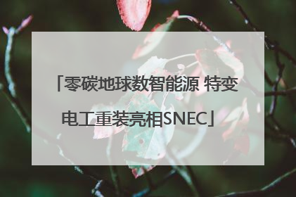 零碳地球数智能源 特变电工重装亮相SNEC