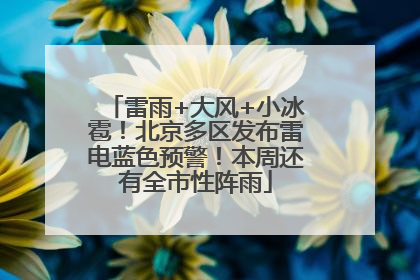 雷雨+大风+小冰雹！北京多区发布雷电蓝色预警！本周还有全市性阵雨