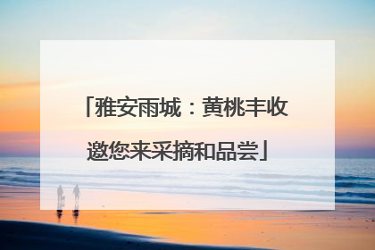 雅安雨城：黄桃丰收 邀您来采摘和品尝