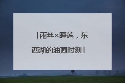 雨丝×睡莲，东西湖的油画时刻