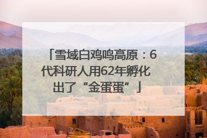 雪域白鸡鸣高原：6代科研人用62年孵化出了“金蛋蛋”