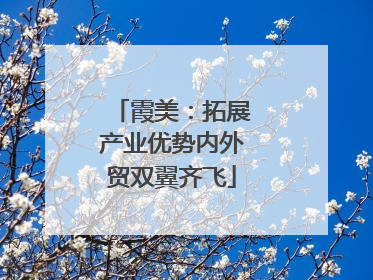 霞美：拓展产业优势内外贸双翼齐飞