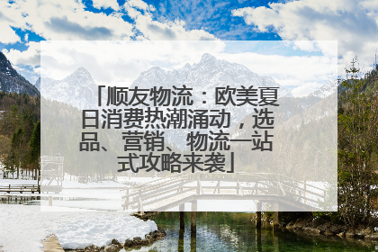 顺友物流：欧美夏日消费热潮涌动，选品、营销、物流一站式攻略来袭