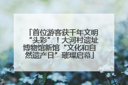 首位游客获千年文明“头彩”！大河村遗址博物馆新馆“文化和自然遗产日”璀璨启幕