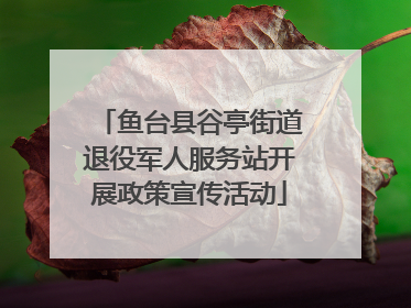 鱼台县谷亭街道退役军人服务站开展政策宣传活动