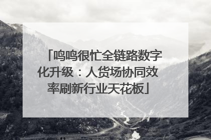 鸣鸣很忙全链路数字化升级：人货场协同效率刷新行业天花板